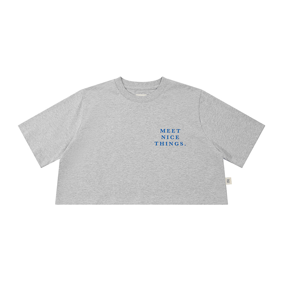 MEET NICE THINGS CROP TEE - HEATHER GREY