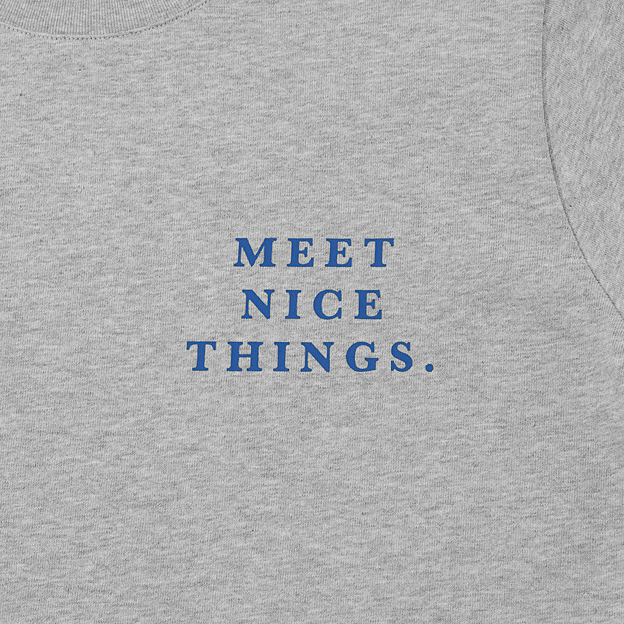 MEET NICE THINGS CROP TEE - HEATHER GREY