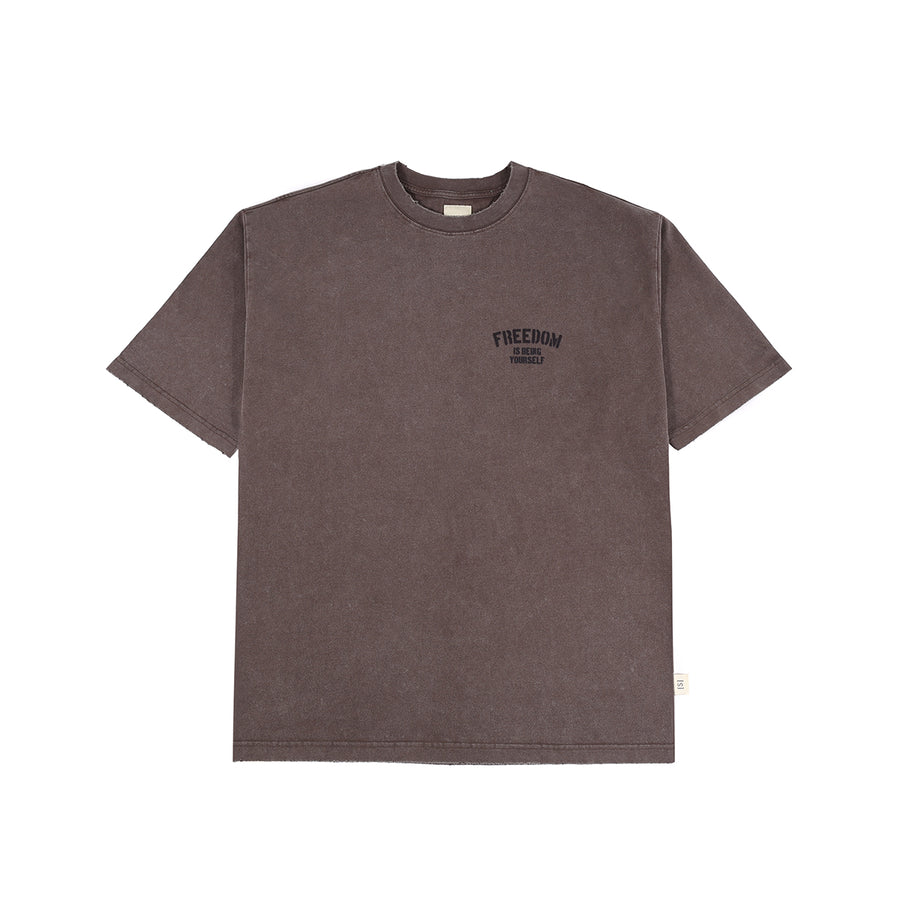 SNOW WASH FREEDOM TEE - BROWN