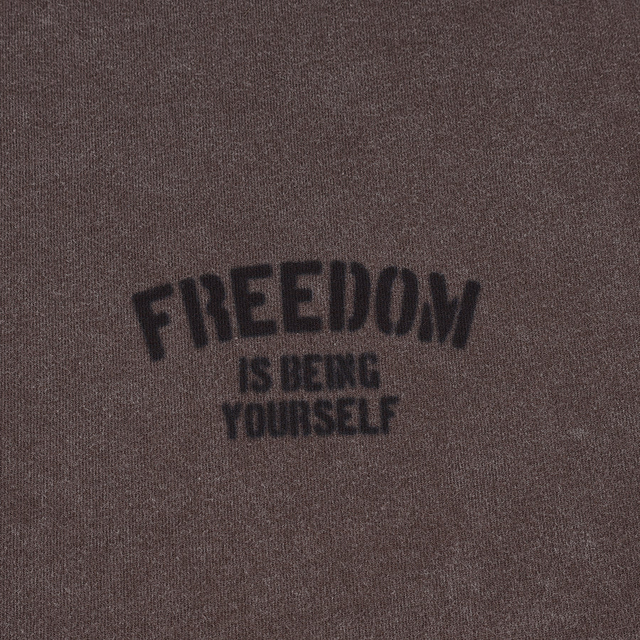 SNOW WASH FREEDOM TEE - BROWN