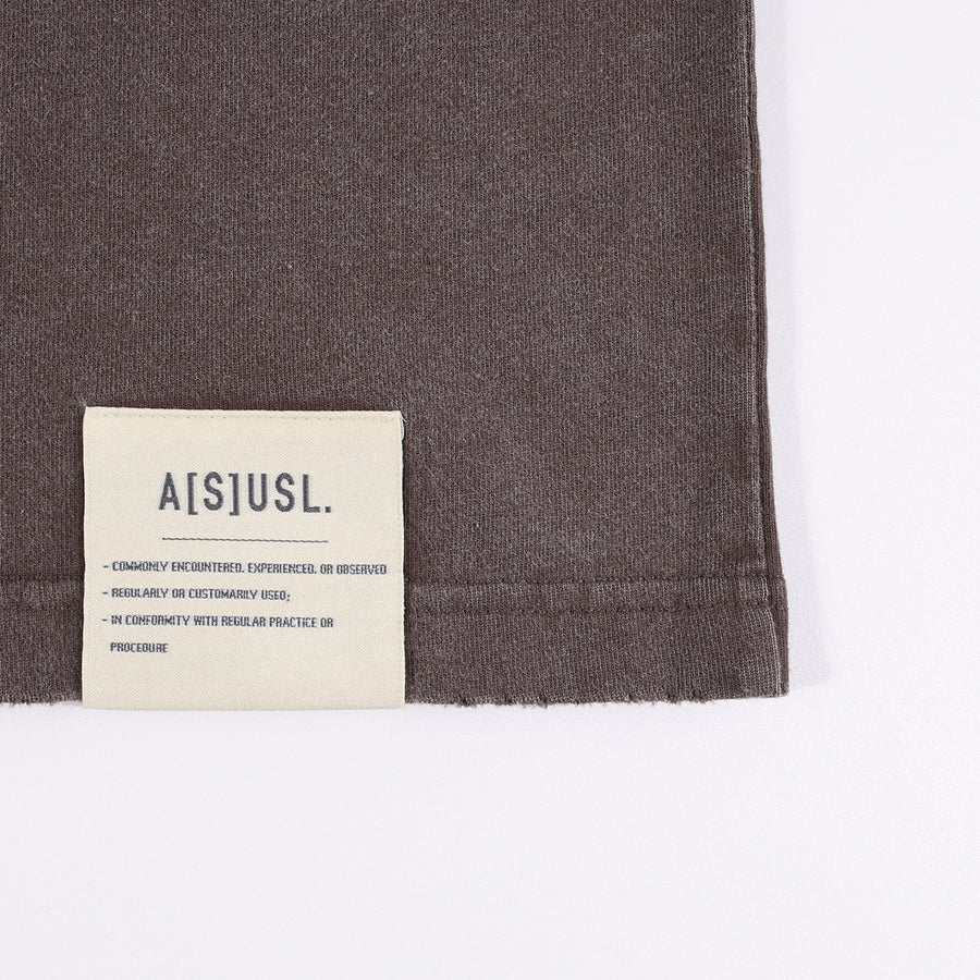 SNOW WASH FREEDOM TEE - BROWN