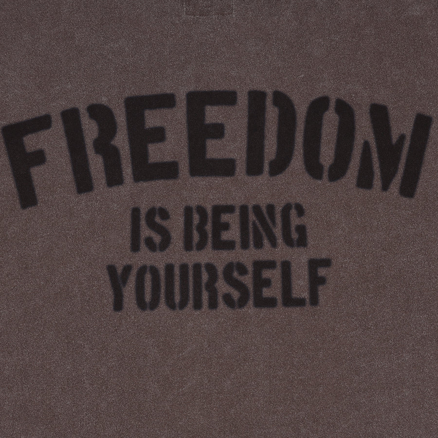 SNOW WASH FREEDOM TEE - BROWN