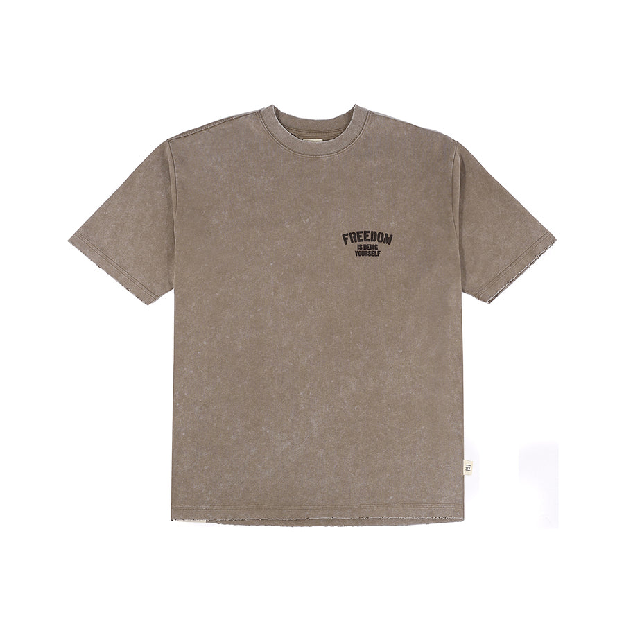 SNOW WASH FREEDOM TEE - GREY