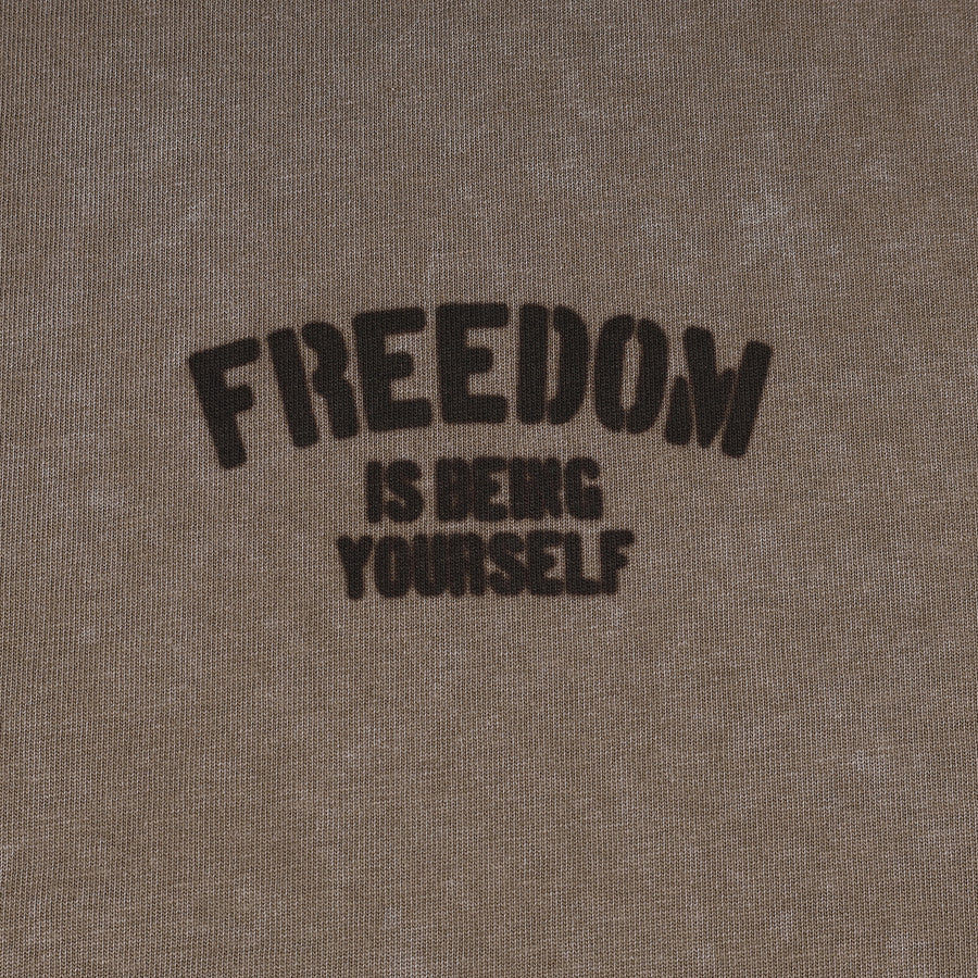 SNOW WASH FREEDOM TEE - GREY