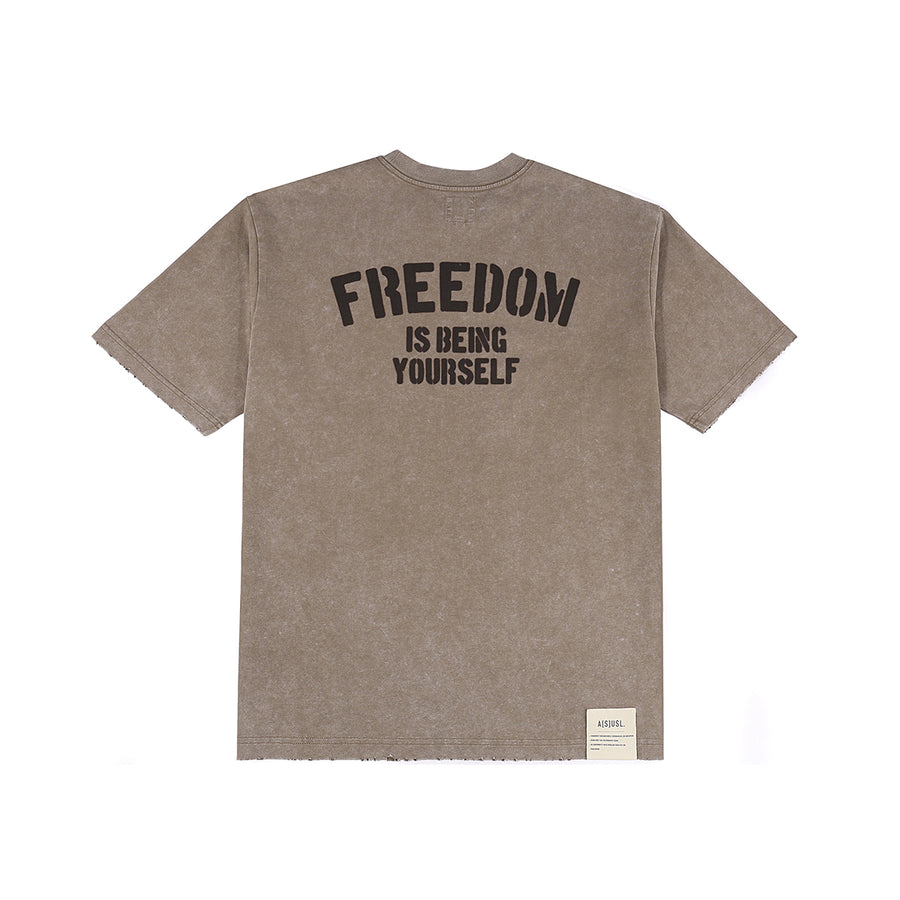 SNOW WASH FREEDOM TEE - GREY